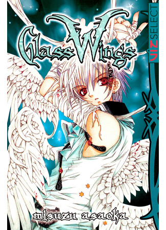 Glass Wings