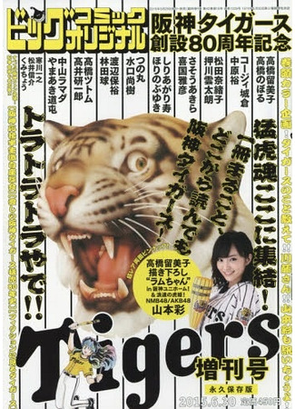 Hanshin Tigers 80th Anniversary Memorial