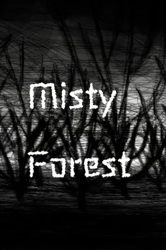 Misty Forest•