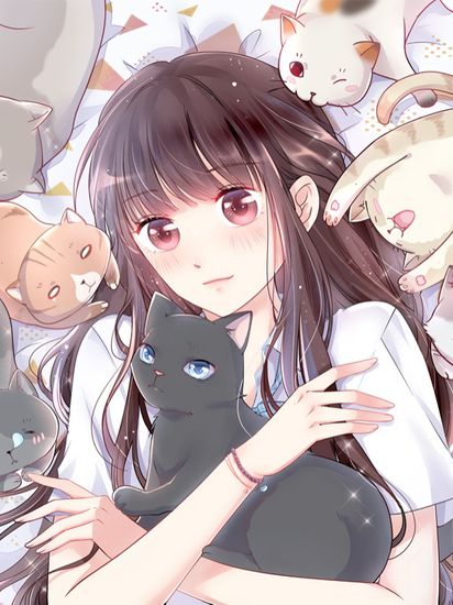 Popular Deskmate is A Cat