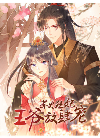 Provoked Concubine: The Prince's Spoils