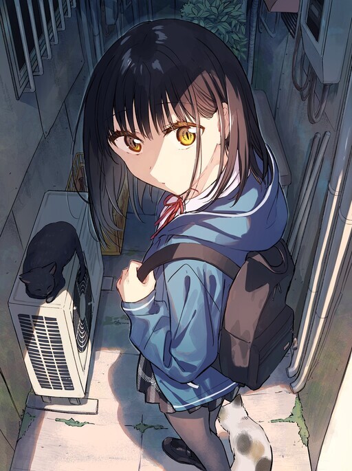 The Feline Neighbor and the Unversed-in-Love