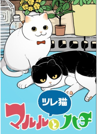 Tsure neko Maruru to Hachi